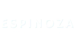 Espinoza Chiropractic Group logo
